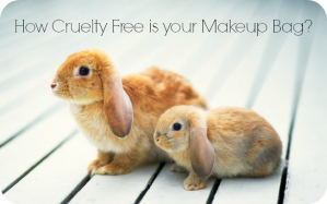 cruelty-free-makeup-