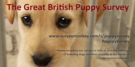the-great-british-puppy-survey